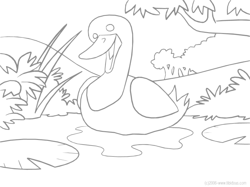 coloriage animal